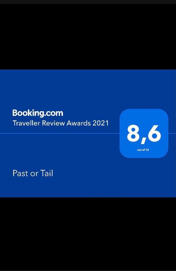Past Or Tail Hostel ลาร์นาคา ภายนอก รูปภาพ